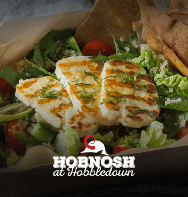 Hobnosh